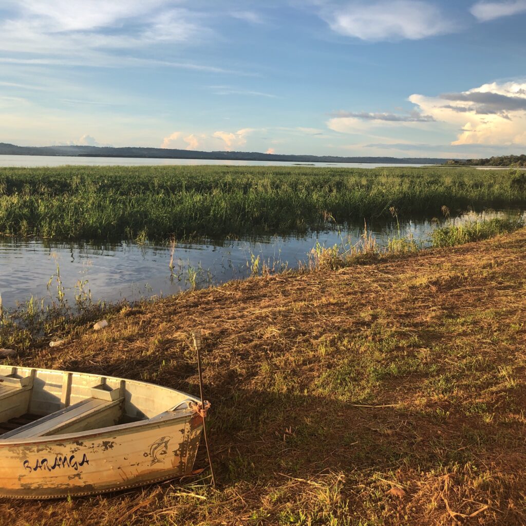 Der Amazonas im warmen Licht der Spätnachmittagssonne, tropischer Regenwald am Ufer und ruhiges Wasser