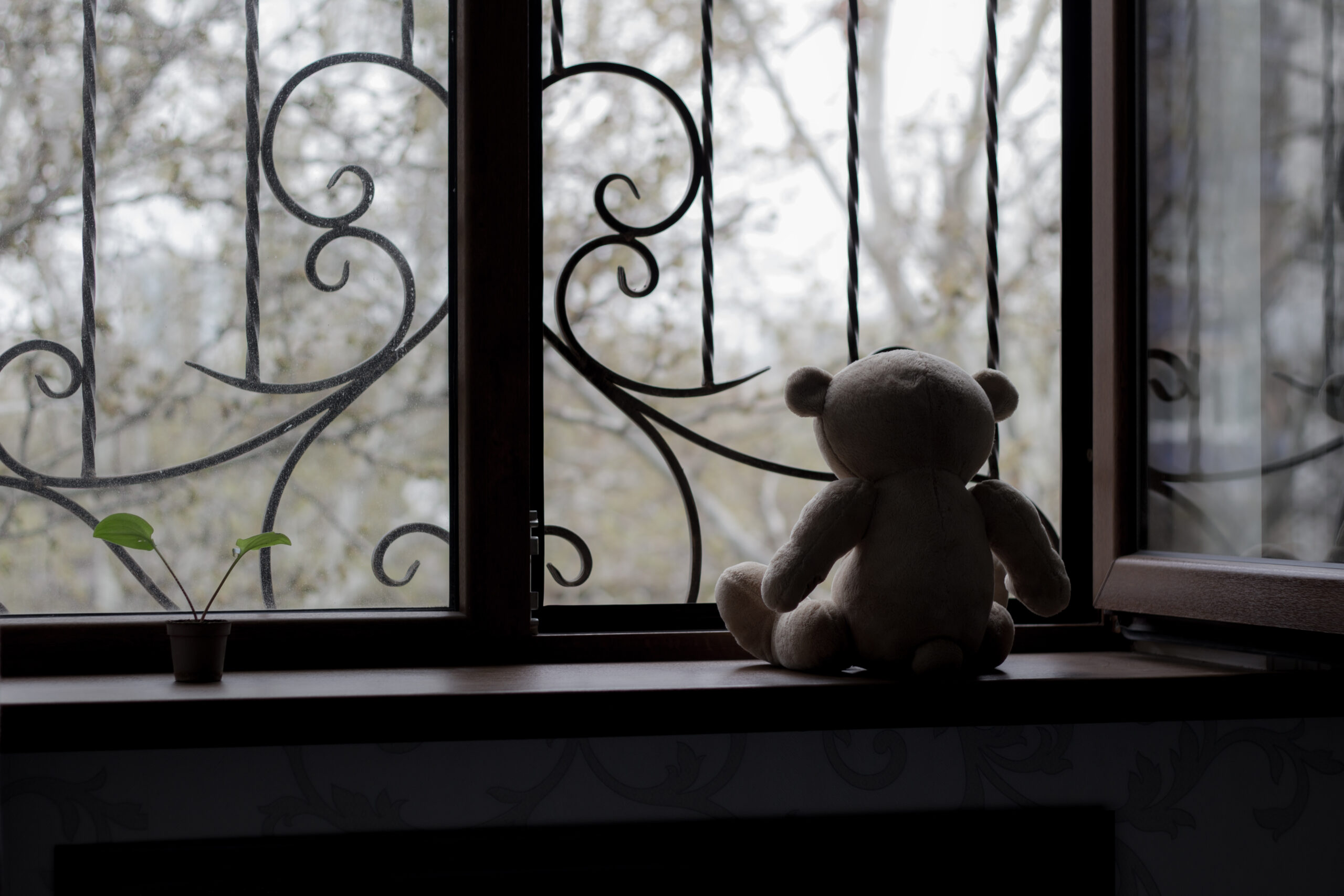 Teddybär vor einem vergitterten Fenster als Symbol für Kindesentführung.